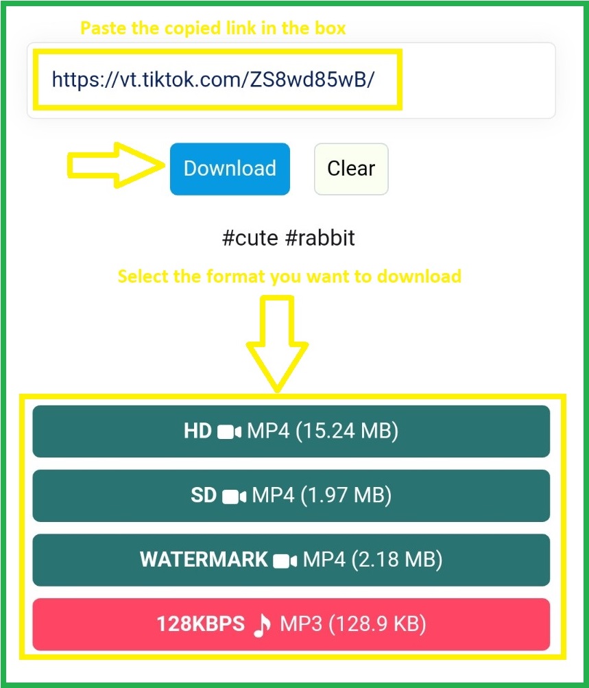 Cara download video Tiktok tanpa logo dengan SnapTik App