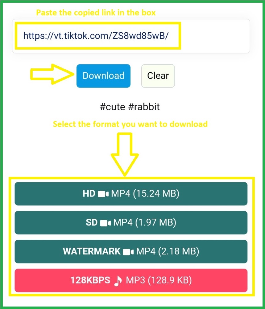 SnapTik: How to Download TikTok Videos HD, Slideshow, Story & Mp3 Without  Watermark - The Daily Guardian